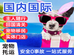 合肥航空邮寄国际宠物托运 【国